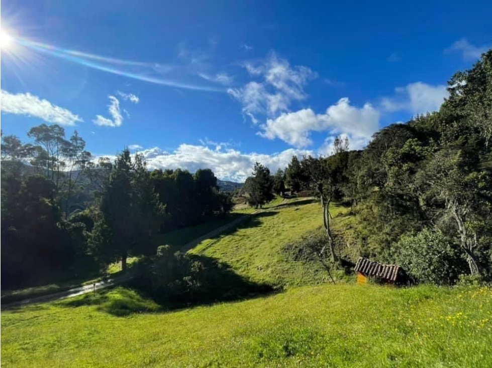 Alquilo Amplia y Exclusiva Casa 1h Vereda el Hato k7 Vía Calera - 4