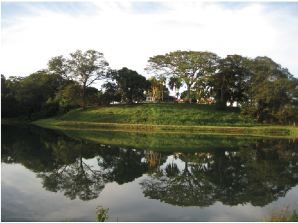 Vendo Finca Via Villavicencio Puerto Lopez, Alto De Pompella - 6