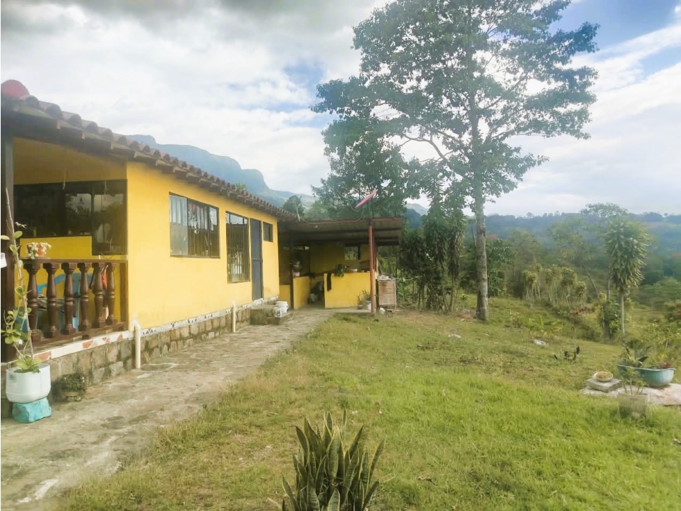 C.D. VENDO FINCA INCREIBLE EN SASAIMA 3H,2B. CON APARTAESTUDIO - 3