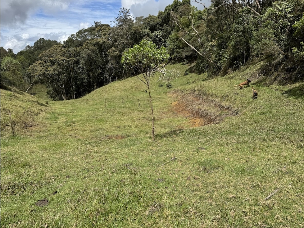 LOTE EN PARCELACIÓN PANTANILLO ENVIGADO ALTOS DE LA MANUELA — foto 4