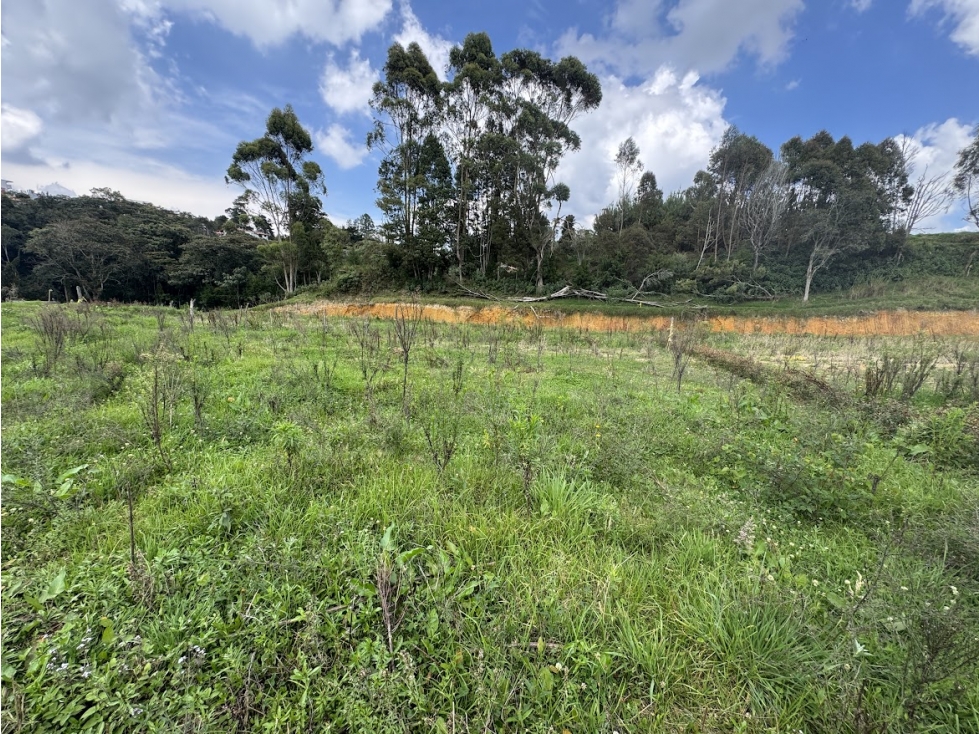 Lote en parcelación por el Alto de Palmas con licencia — foto 3