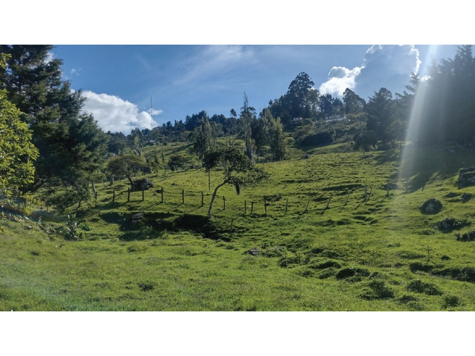 Venta lote campestre#58 Cerca a Medellín, vista panorámica sin peaje - 2