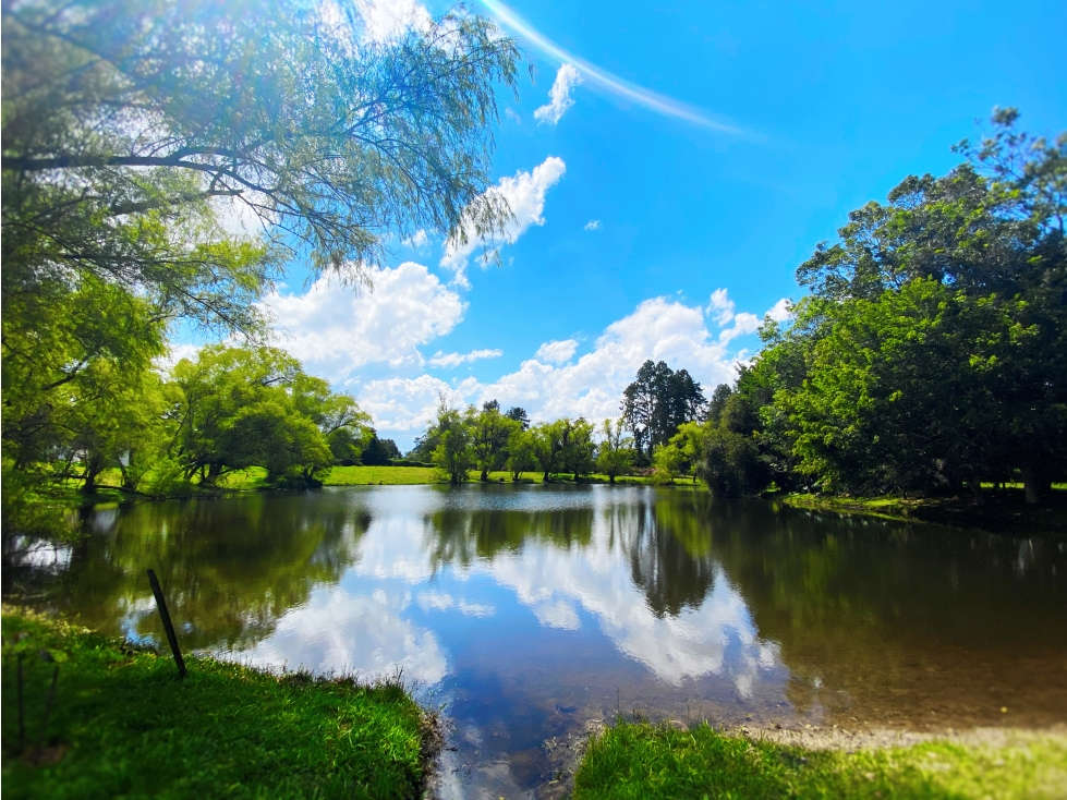 Venta de Lote para Parcelar Llanogrande - 2