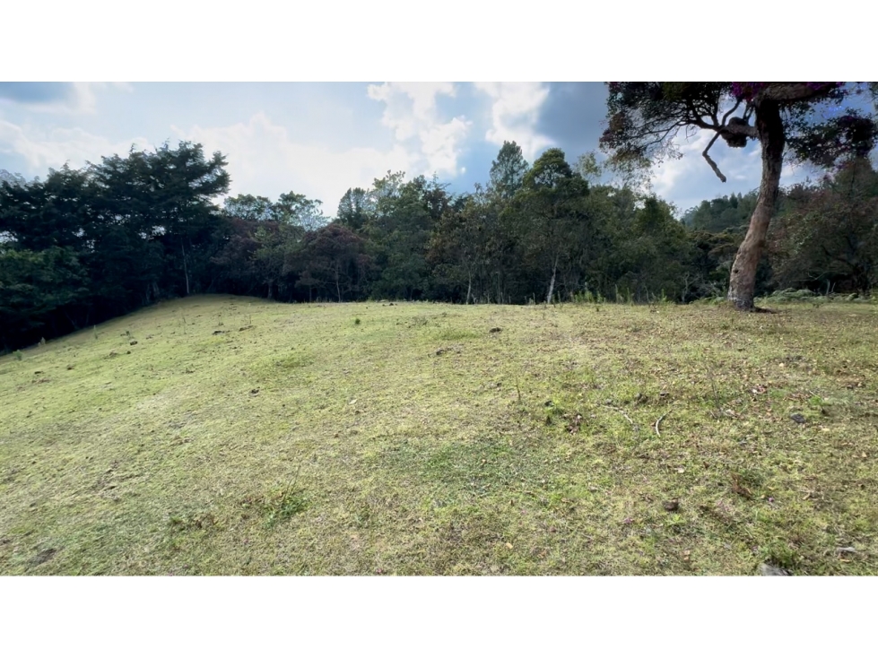 Lote comercial ubicado en el Alto de Palmas antes del peaje