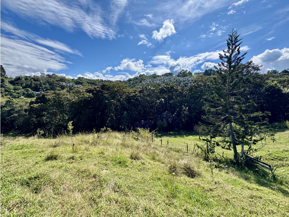 Hermoso lote en Alto de Palmas antes del peaje — foto 4