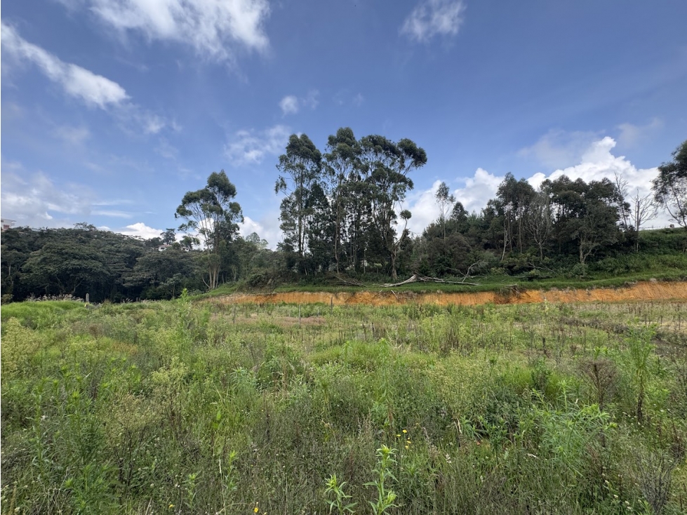 Lote en parcelación por el Alto de Palmas con licencia — foto 4