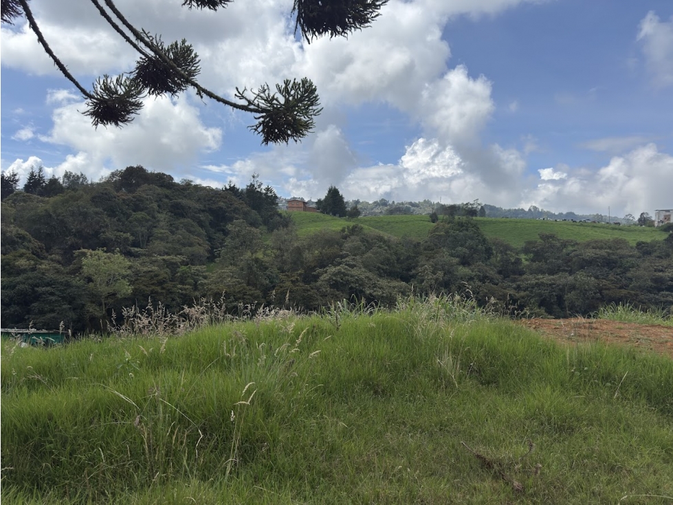 Lote en parcelación por el Alto de Palmas con licencia — foto 4