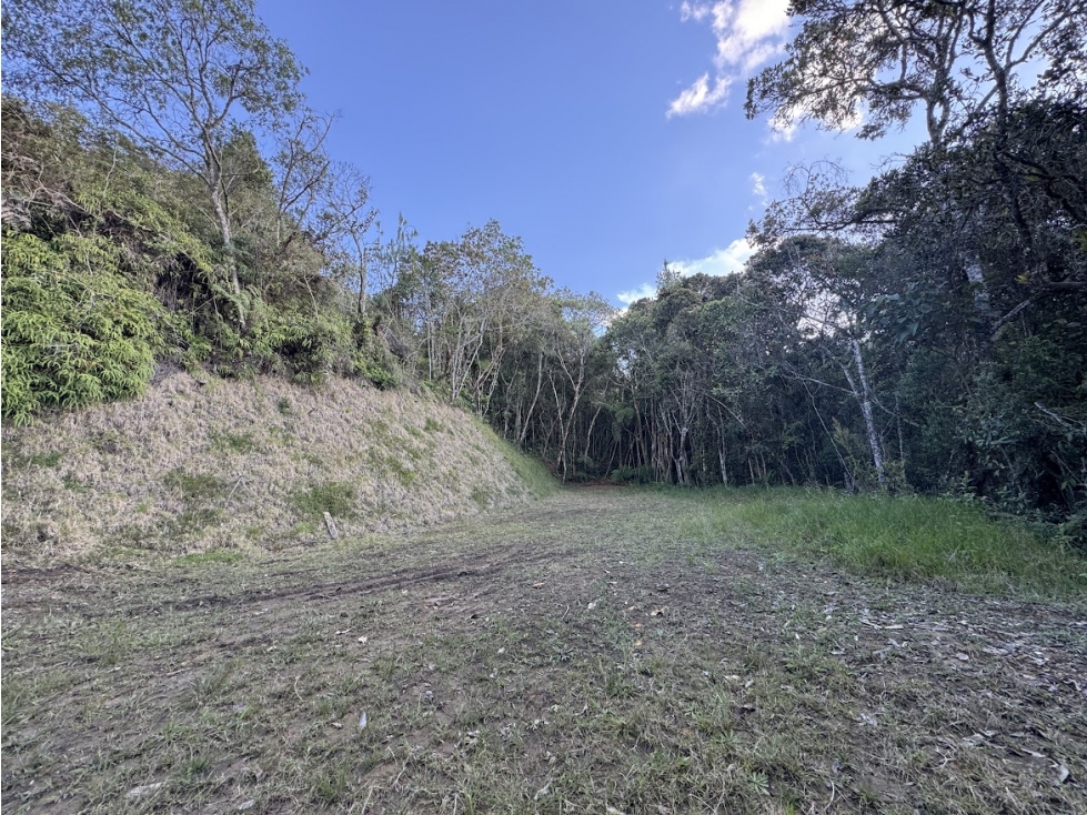 OPORTUNIDAD LOTE EN SANTA ELENA RODEADO DE BOSQUE