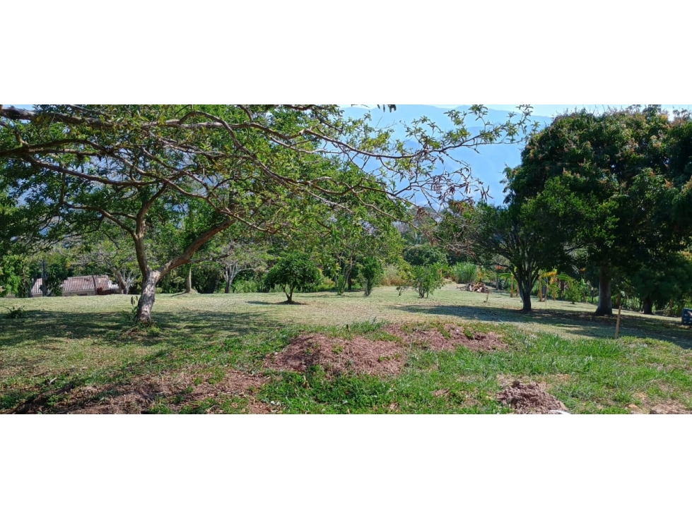 LOTE PLANO TITIRIBI V.OTRAMINA - 2