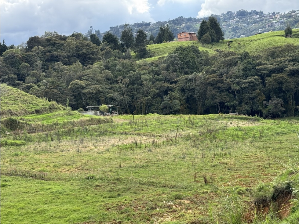 Lote en parcelación por el Alto de Palmas con licencia — foto 2