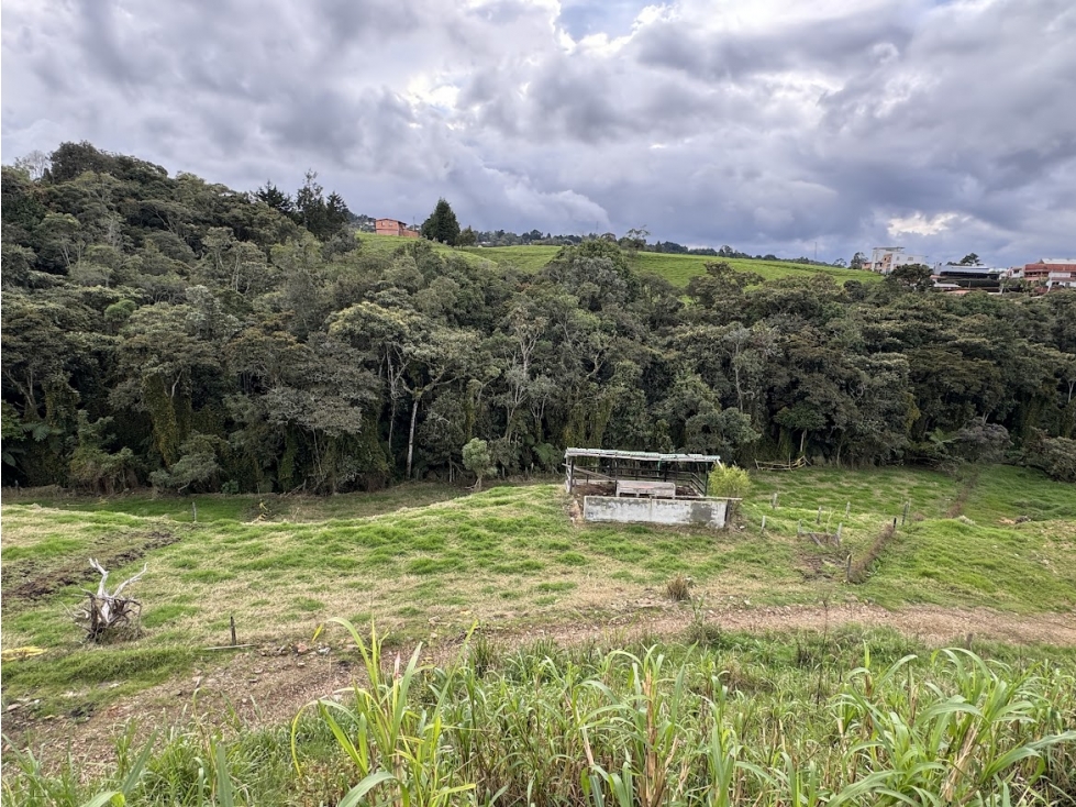 Lote en parcelación cerca a el Alto de Palmas y Santa Elena — foto 5