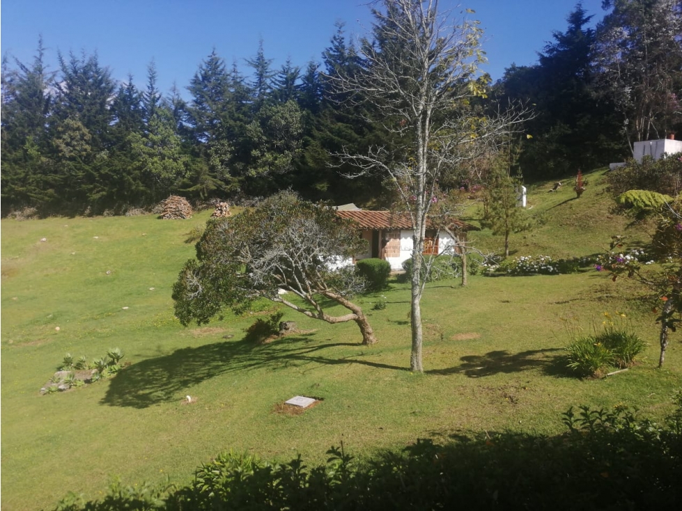 HERMOSA CASA FINCA PANTANILLO ENVIGADO, ALTO DE PALMAS — foto 6