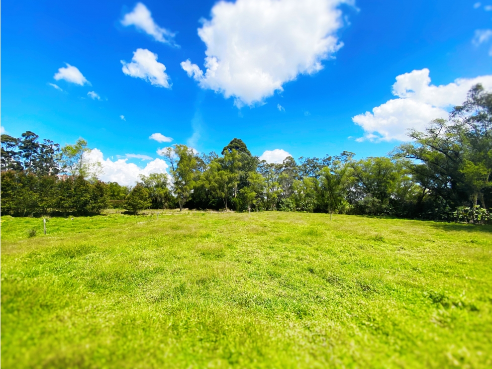 Venta de Lote para Parcelar Llanogrande - 3