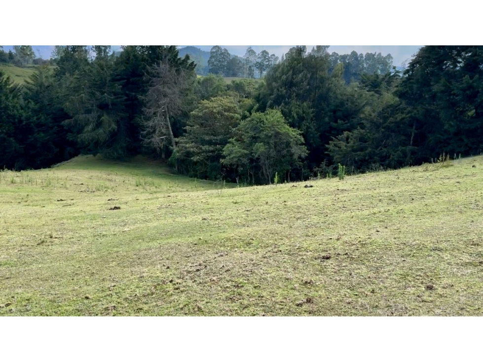 Lote comercial ubicado en el Alto de Palmas antes del peaje — foto 2