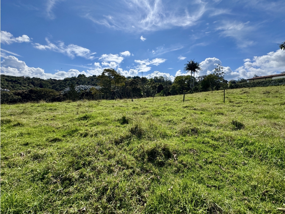 Hermoso lote en Alto de Palmas antes del peaje — foto 2