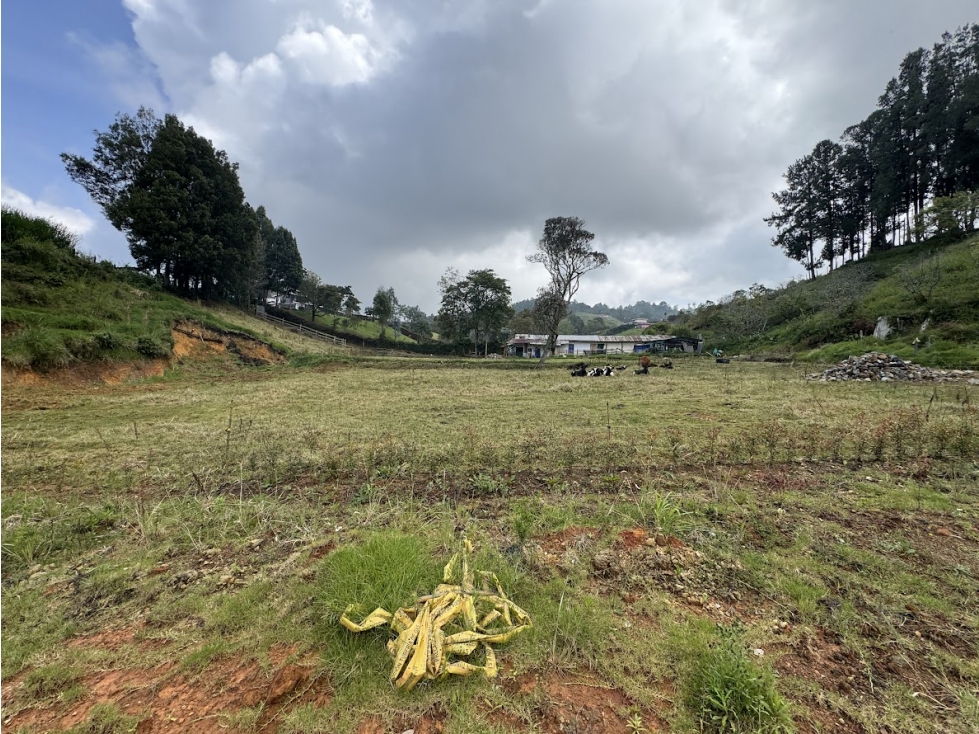 Lote en parcelación por el Alto de Palmas con licencia — foto 4