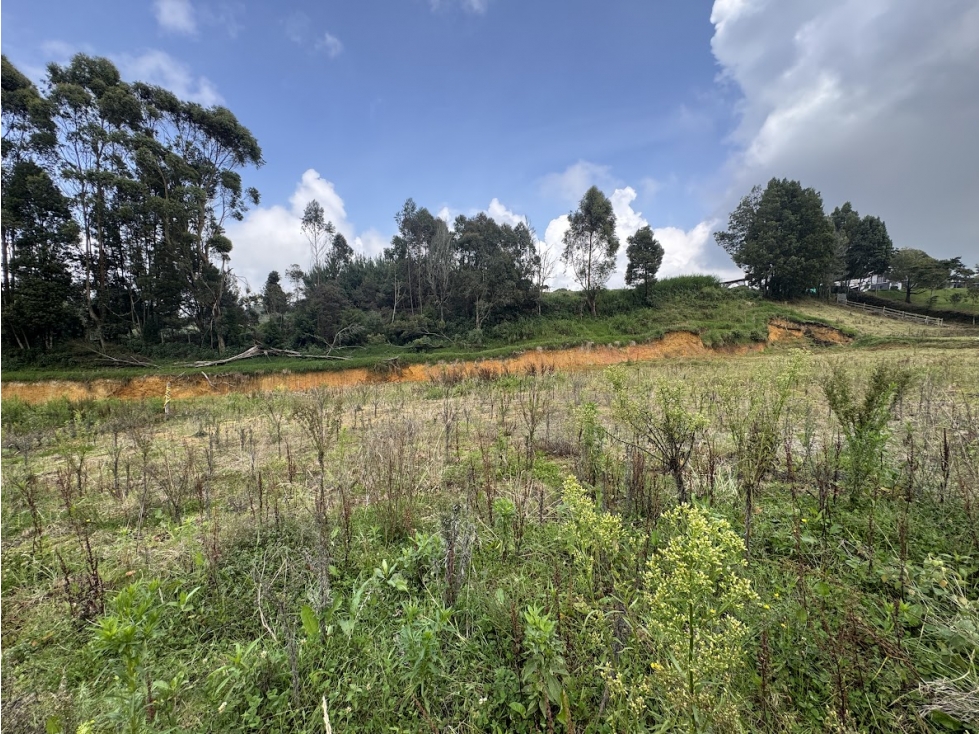 Lote en parcelación por el Alto de Palmas con licencia — foto 5