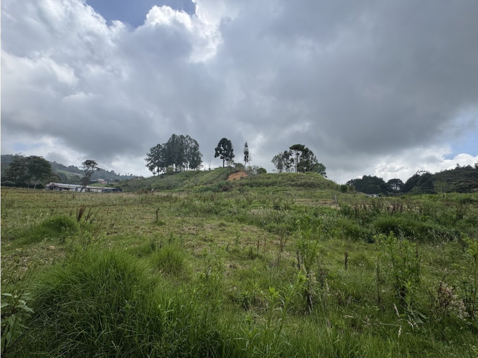 Lote en parcelación por el Alto de Palmas con licencia — foto 4