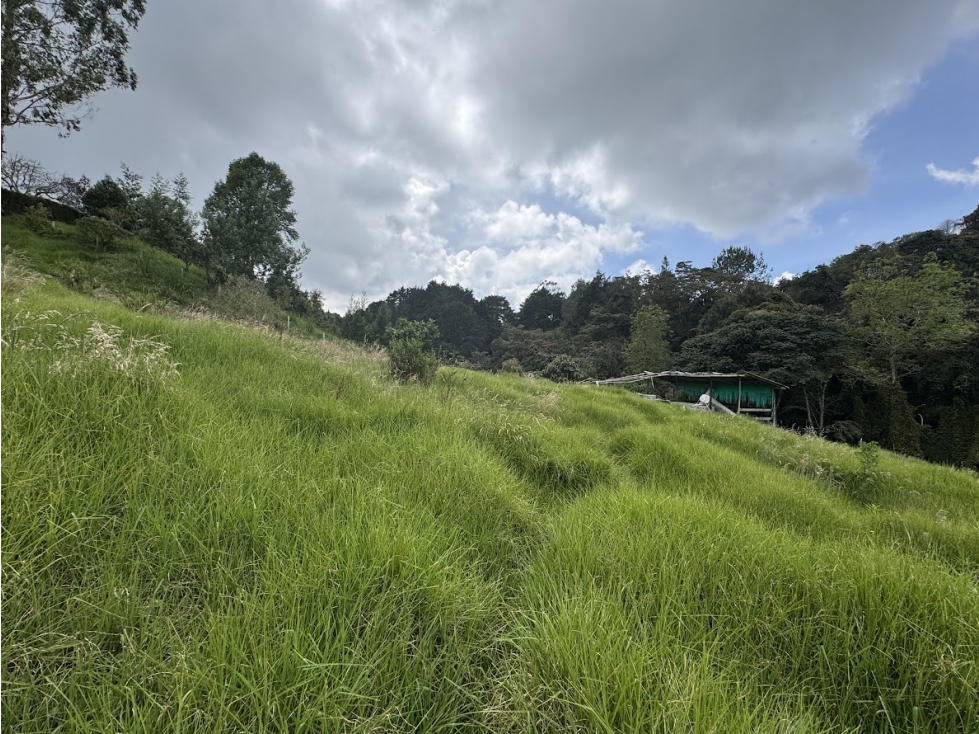 Lote en parcelación cerca a el Alto de Palmas y Santa Elena — foto 2