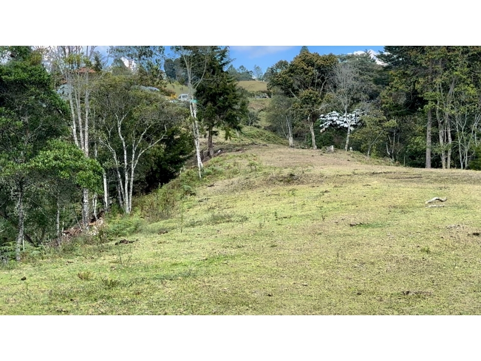 Lote comercial ubicado en el Alto de Palmas antes del peaje — foto 3