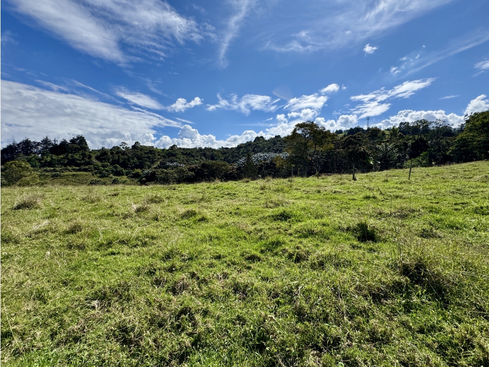 Hermoso lote en Alto de Palmas antes del peaje