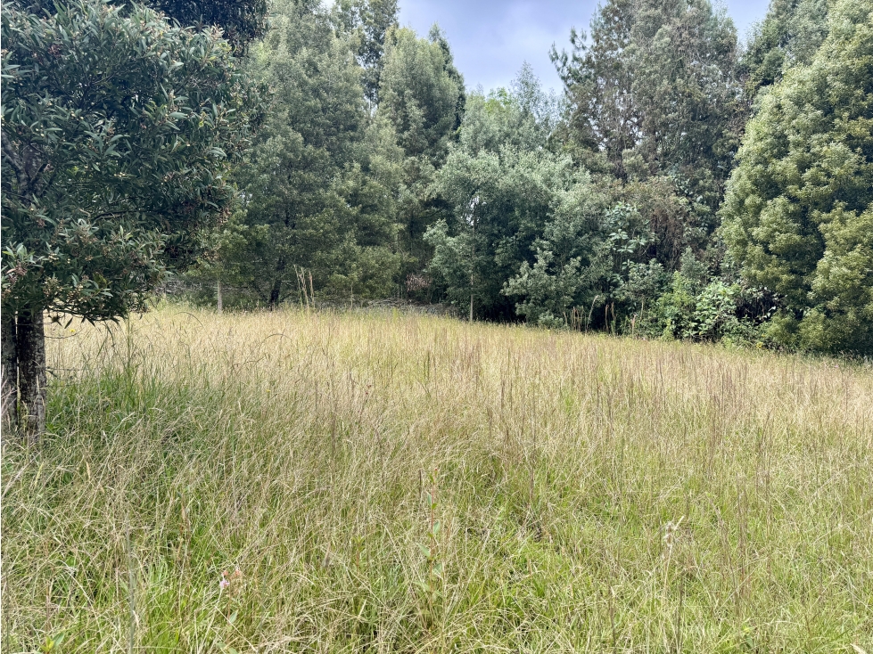 LOTE EN PARCELACIÓN ALTO DE LAS PALMAS PRECIO DE OPORTUNIDAD — foto 4