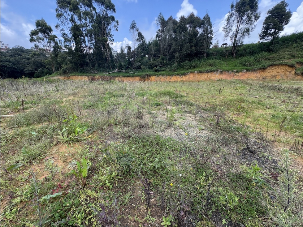 Lote en parcelación por el Alto de Palmas con licencia — foto 6