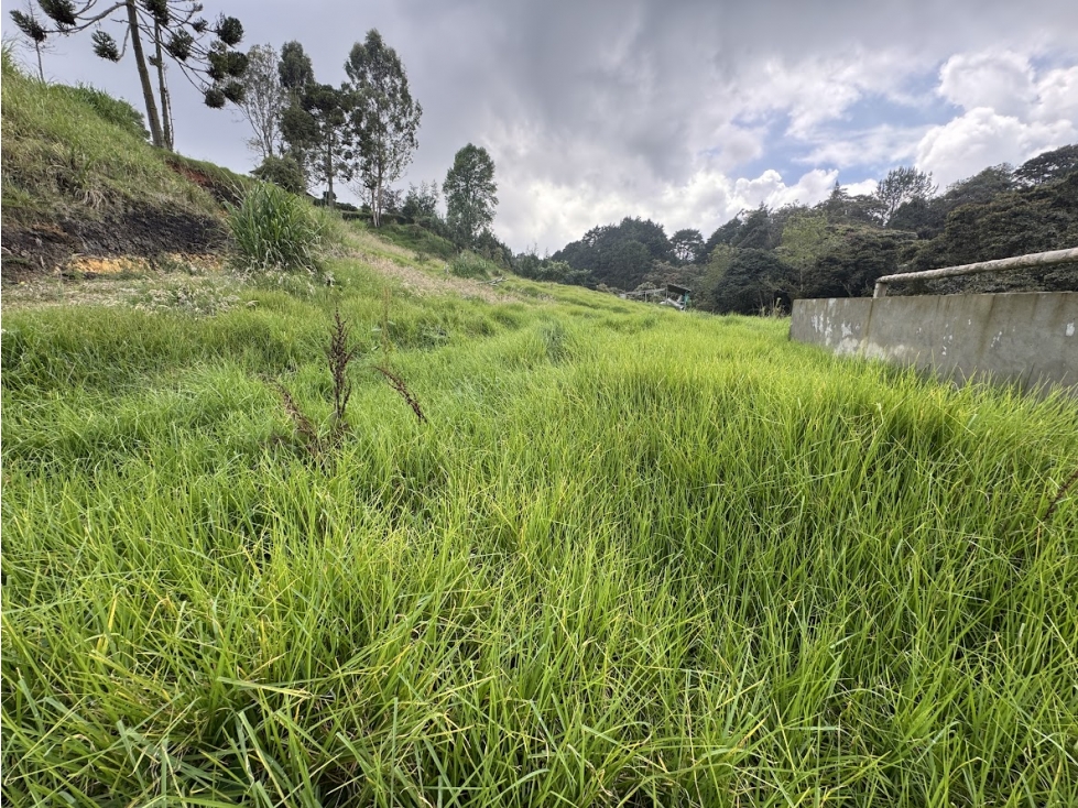Lote en parcelación cerca a el Alto de Palmas y Santa Elena — foto 2