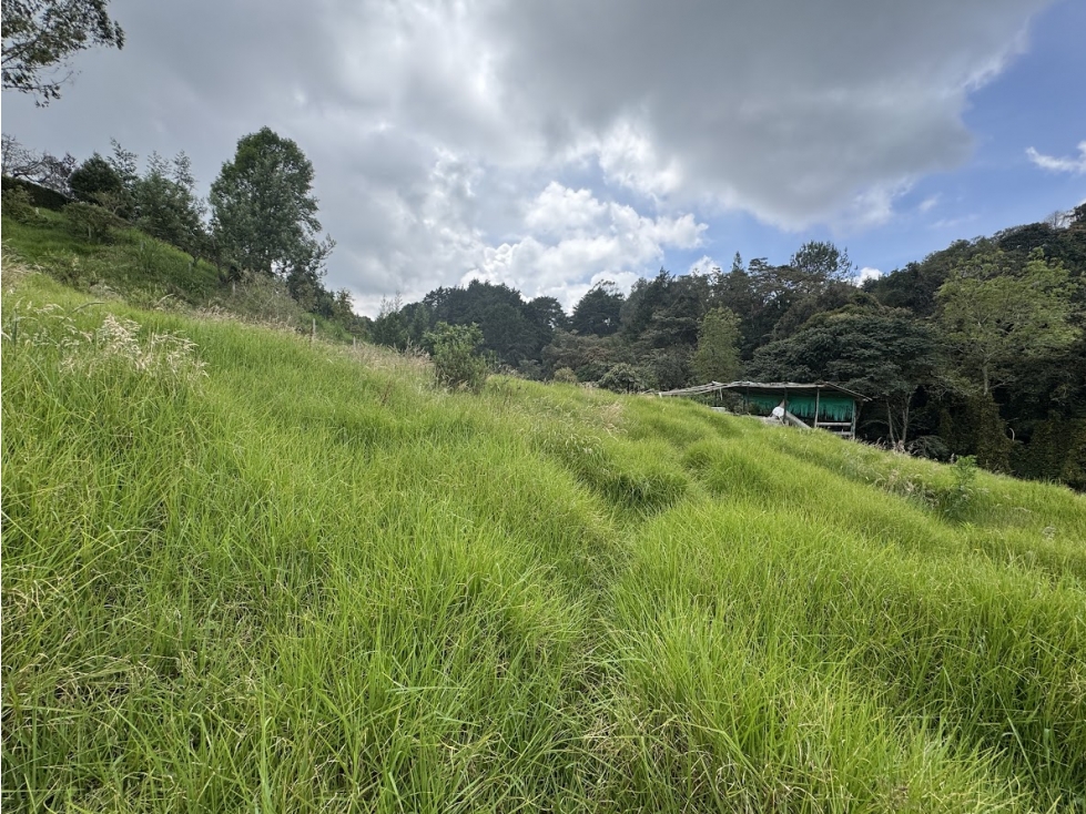 Lote en parcelación cerca a el Alto de Palmas y Santa Elena — foto 3