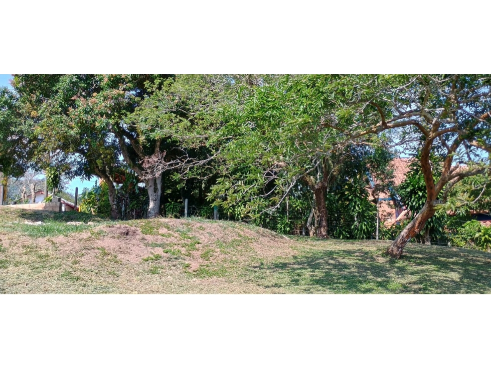 LOTE PLANO TITIRIBI V.OTRAMINA - 6