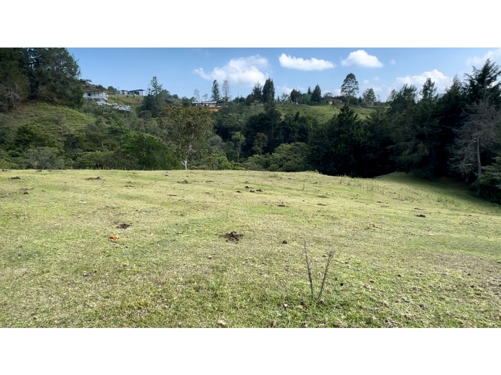 Lote comercial ubicado en el Alto de Palmas antes del peaje — foto 4