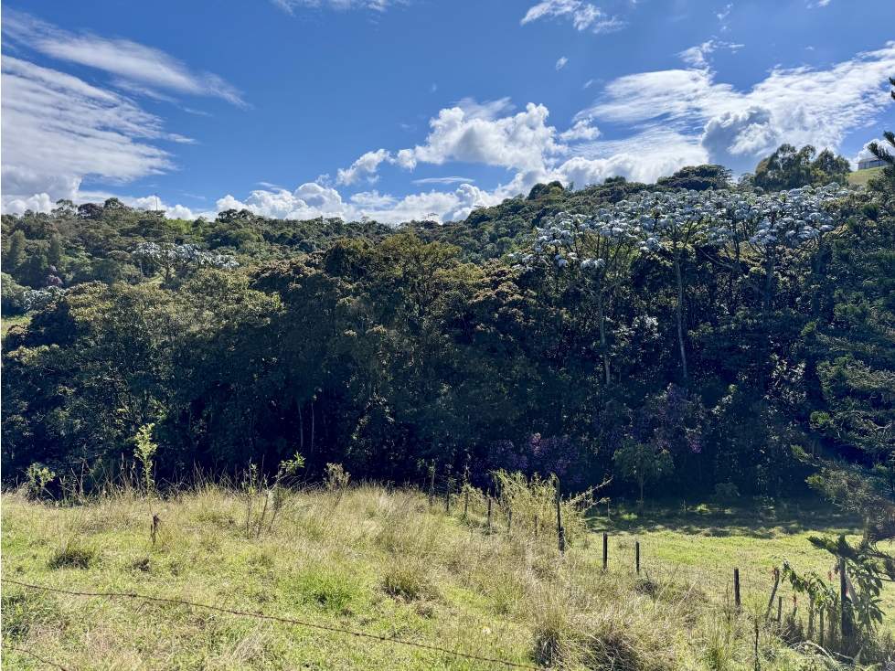 Hermoso lote en Alto de Palmas antes del peaje — foto 3