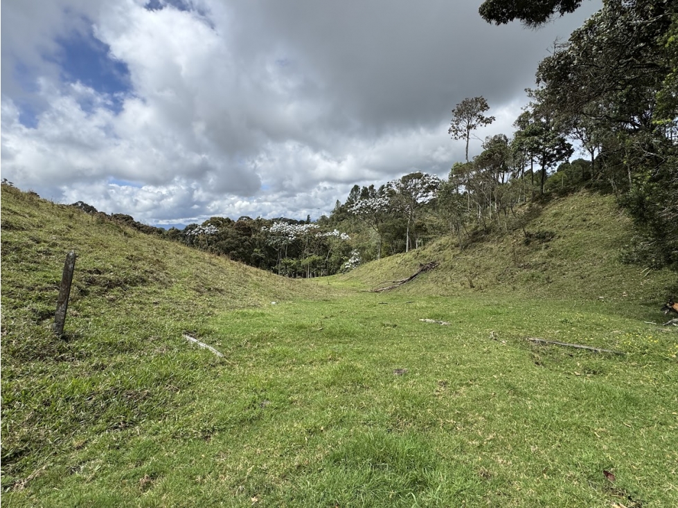 LOTE EN PARCELACIÓN PANTANILLO ENVIGADO ALTOS DE LA MANUELA — foto 5