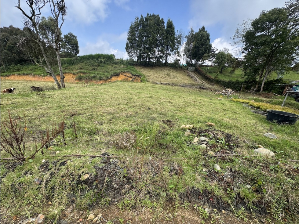 Lote en parcelación por el Alto de Palmas con licencia — foto 6