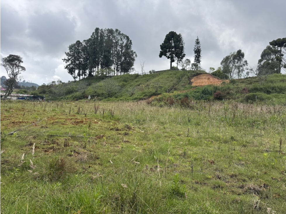 Lote en parcelación por el Alto de Palmas con licencia — foto 5
