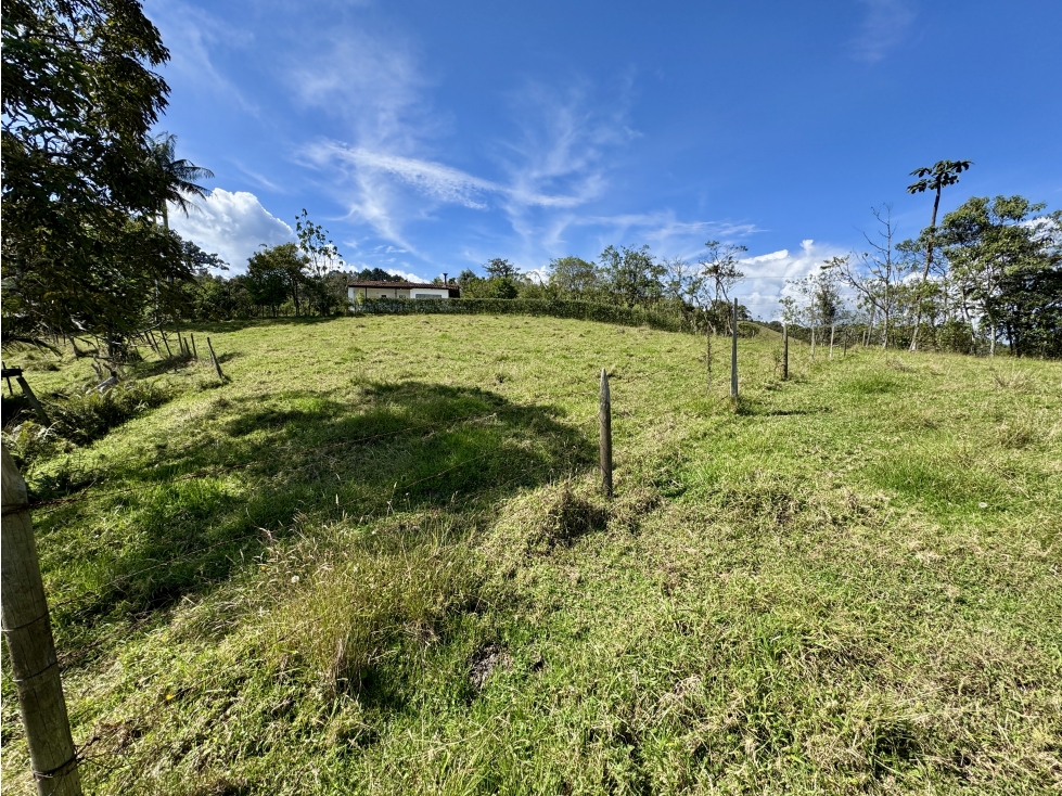 Hermoso lote en Alto de Palmas antes del peaje — foto 5