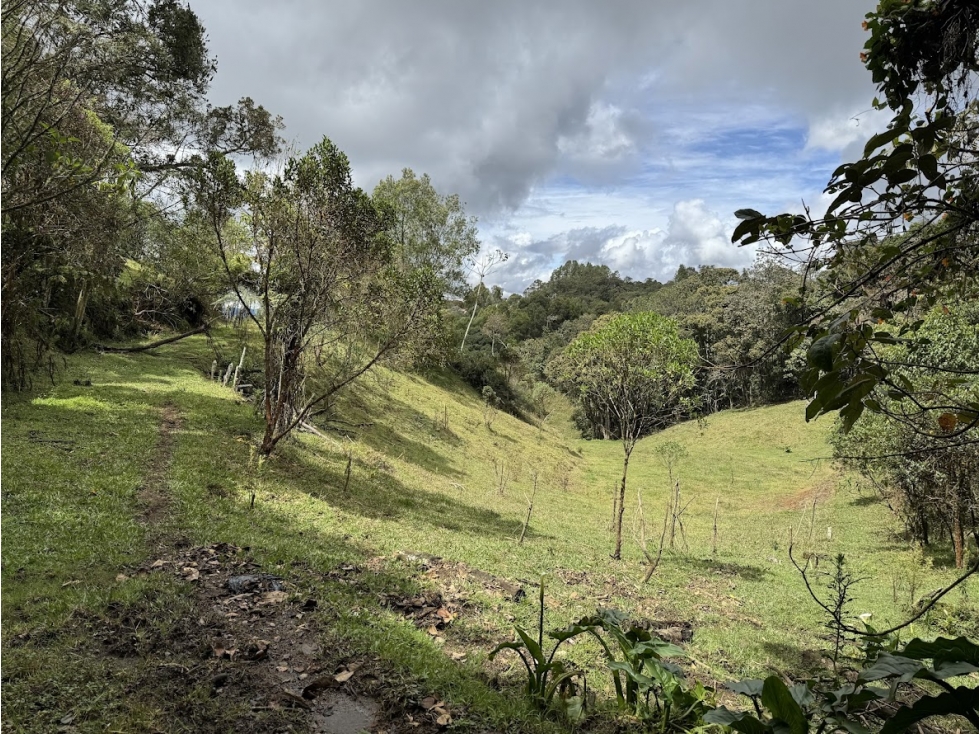 LOTE EN PARCELACIÓN PANTANILLO ENVIGADO ALTOS DE LA MANUELA — foto 6