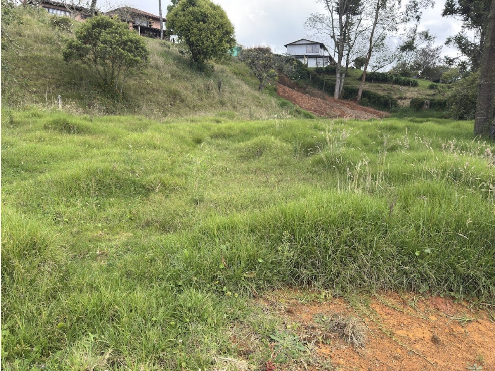 Lote en parcelación por el Alto de Palmas con licencia — foto 5