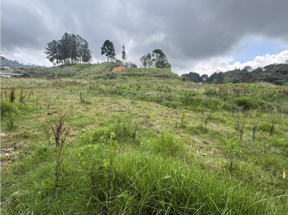 Lote en parcelación por el Alto de Palmas con licencia — foto 6