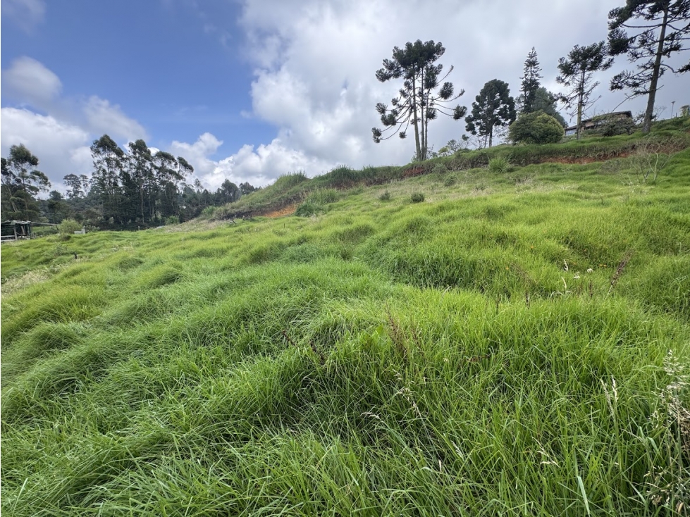 Lote en parcelación cerca a el Alto de Palmas y Santa Elena — foto 5