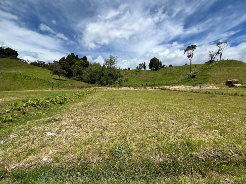 Exclusivo lote en las Palmas: Naturaleza y pasión equina — foto 3