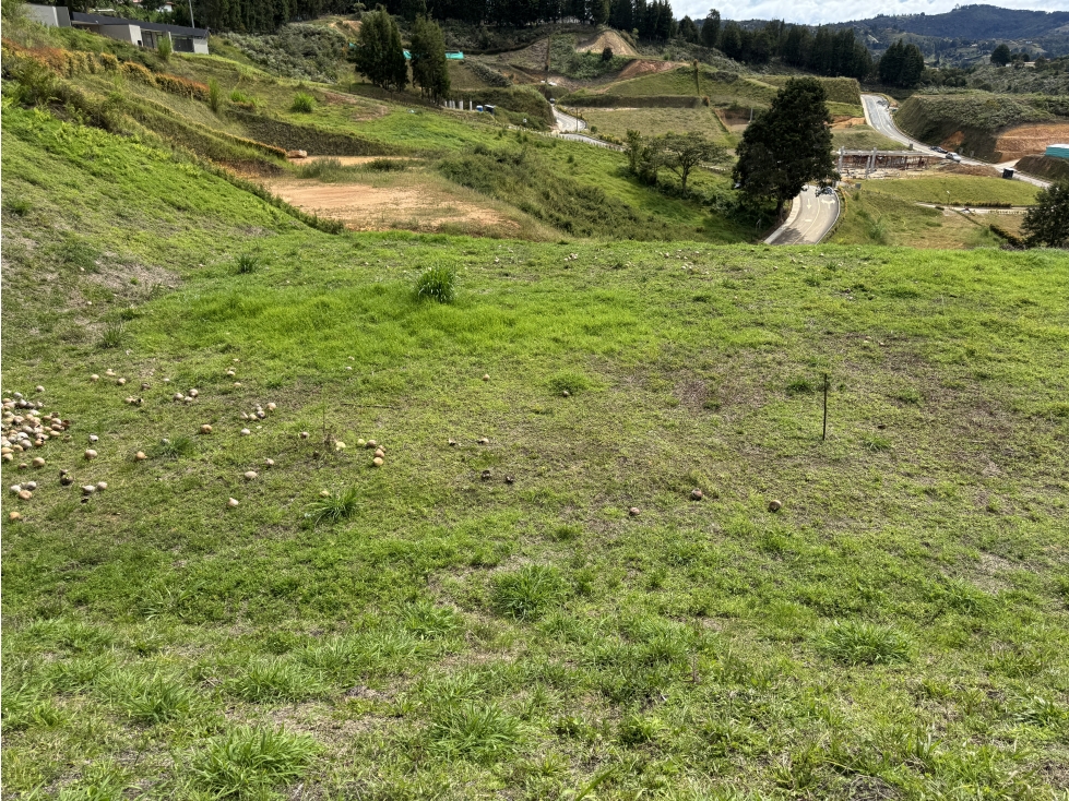 HERMOSO LOTE EN PARCELACIÓN CERCANO AL AEROPUERTO JMC — foto 5