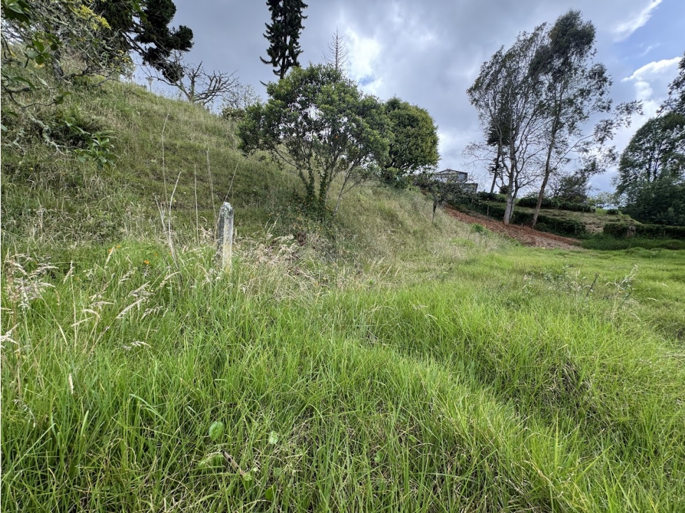 Lote en parcelación por el Alto de Palmas con licencia — foto 6