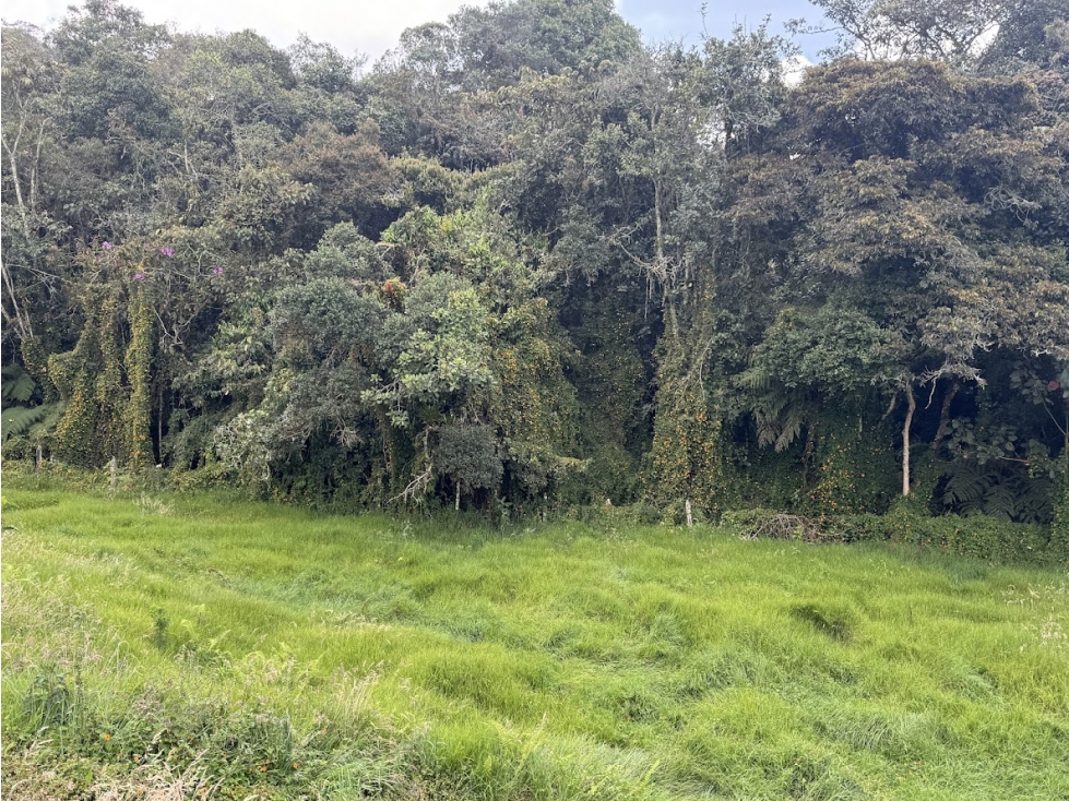 Lote en parcelación cerca a el Alto de Palmas y Santa Elena