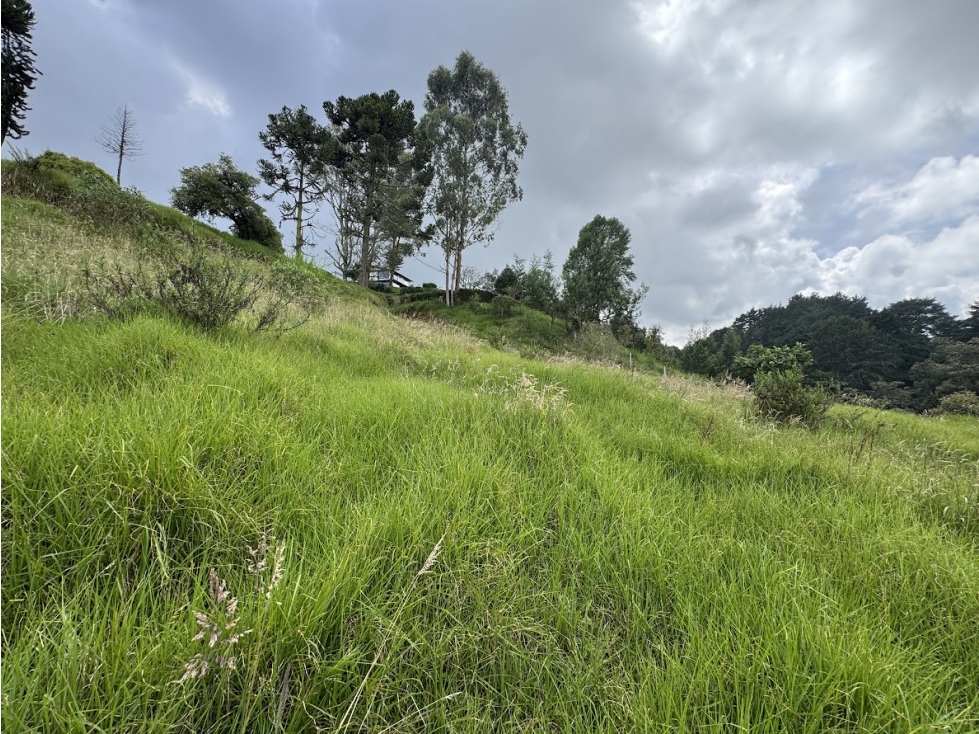 Lote en parcelación cerca a el Alto de Palmas y Santa Elena — foto 6