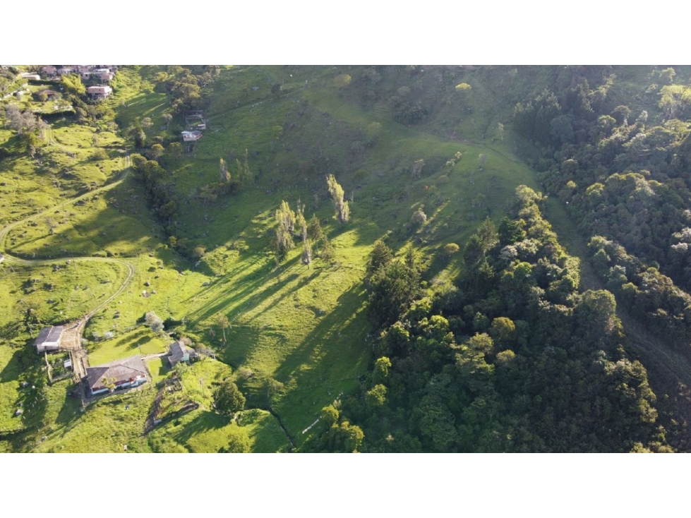 Venta lote campestre#58 Cerca a Medellín, vista panorámica sin peaje - 5