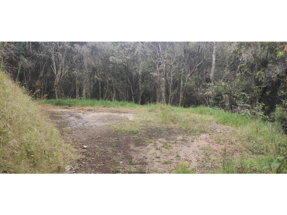 OPORTUNIDAD LOTE EN SANTA ELENA RODEADO DE BOSQUE — foto 4