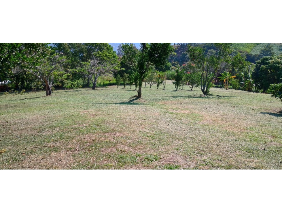 LOTE PLANO TITIRIBI V.OTRAMINA - 1