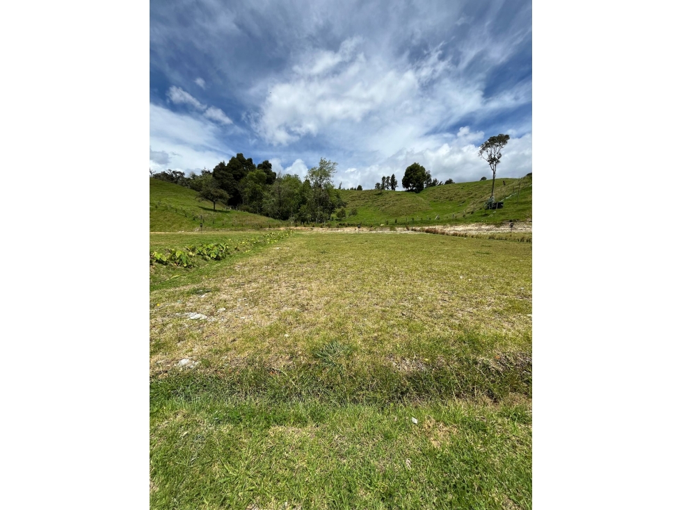 Exclusivo lote en las Palmas: Naturaleza y pasión equina — foto 4