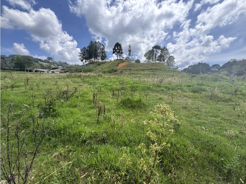 Lote en parcelación por el Alto de Palmas con licencia — foto 2